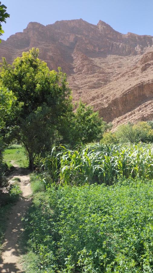 Riad Dar Ahlam Aït Baha Exteriör bild